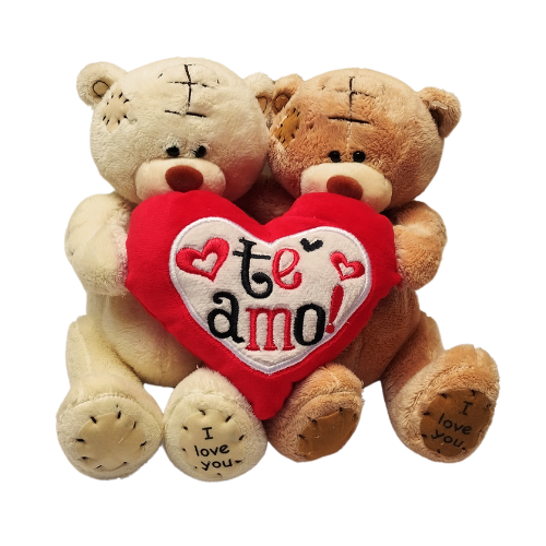 Peluche Pareja de Ositos - Main Image