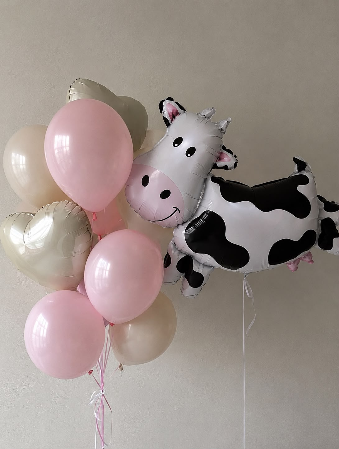 Globos Vaca