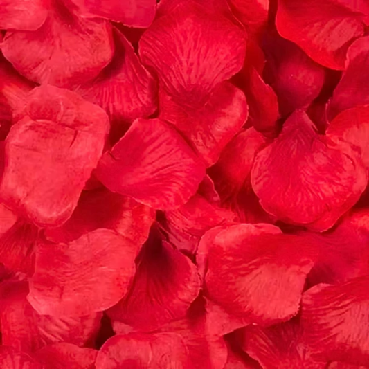 Pétalos de Flores Rojos