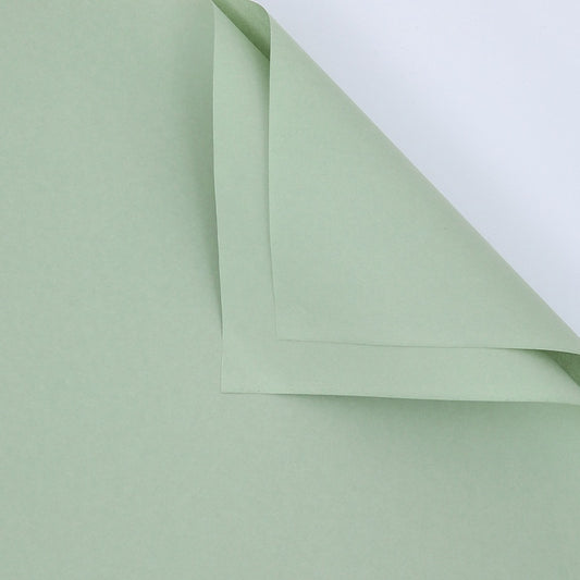 Papel Coreano Liso
