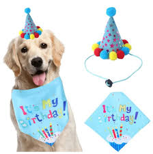 Kit Cumple Mascota Celeste
