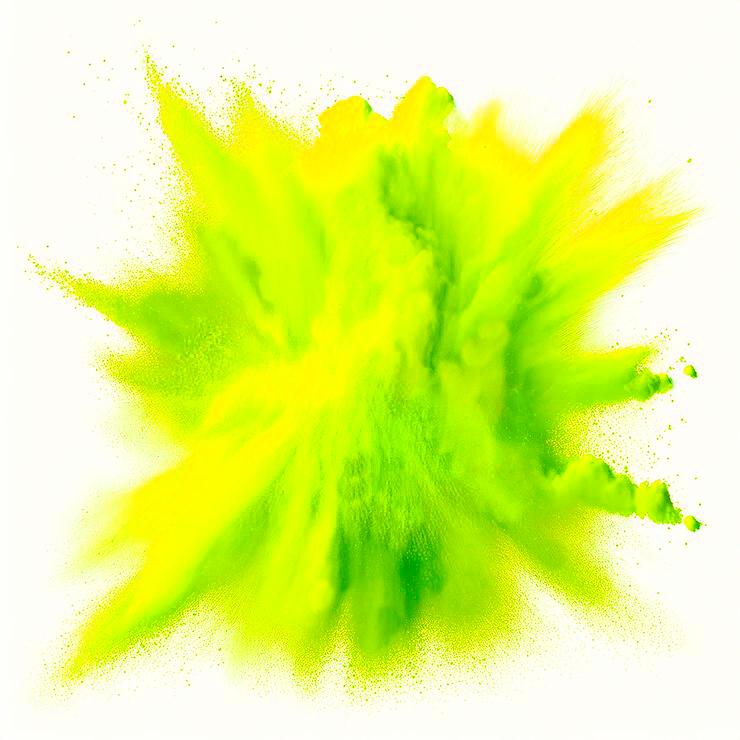 Polvo Holi