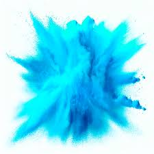 Polvo Holi