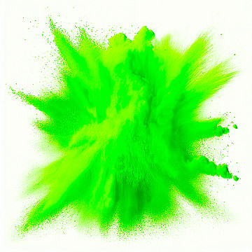 Polvo Holi
